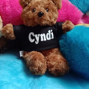boneka teddy kecil lucu