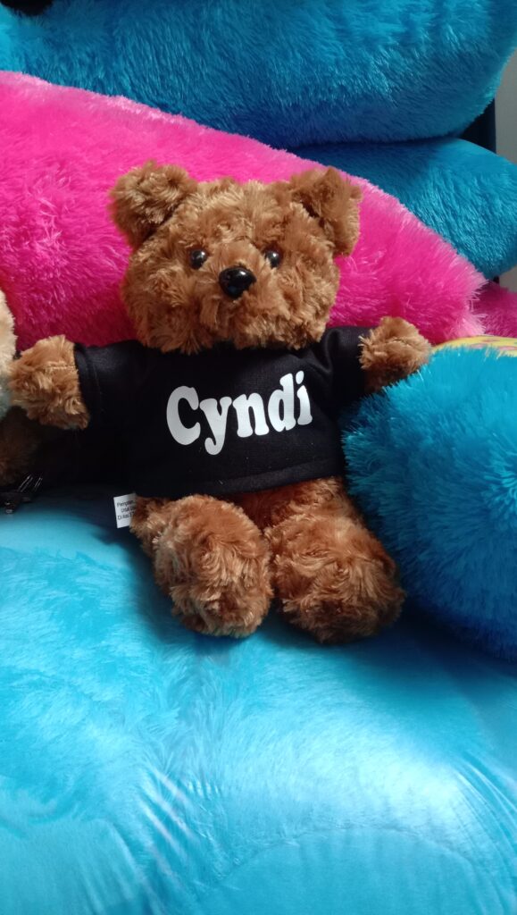 boneka teddy kecil lucu